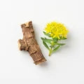 Rhodiola root and flowers